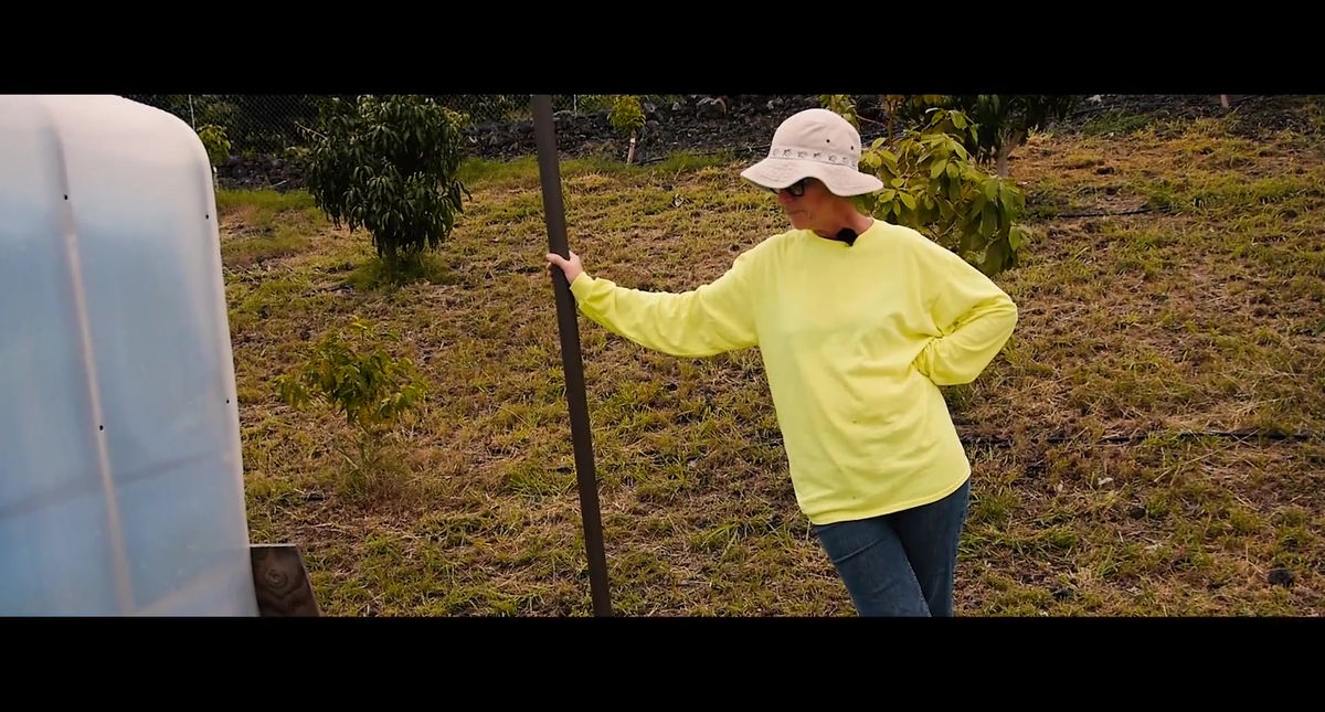 Trailer #3